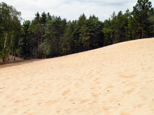 Pohyblivá písečná duna