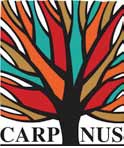 Nabídka kurzů Jazykové školy Carpinus