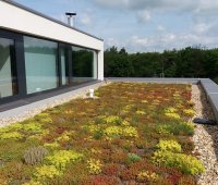 Státní fond životního prostředí ČR zvyšuje dotaci na zelené střechy