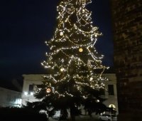 Vánoční strom na náměstí